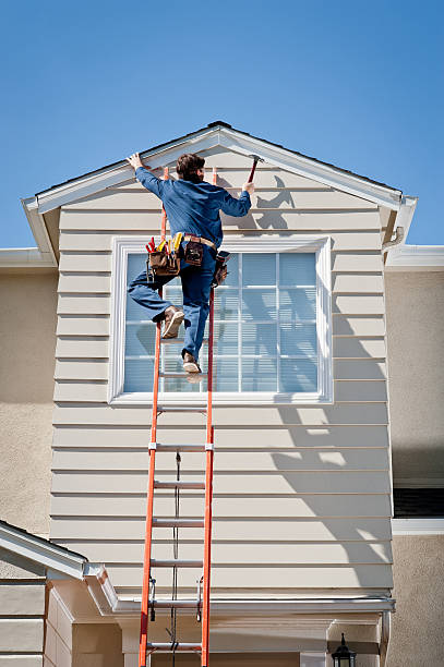 Best Siding Removal and Disposal  in Holland, MI